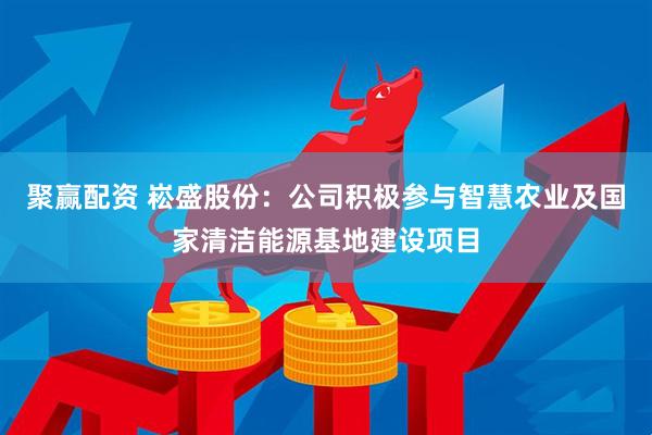 聚赢配资 崧盛股份：公司积极参与智慧农业及国家清洁能源基地建设项目