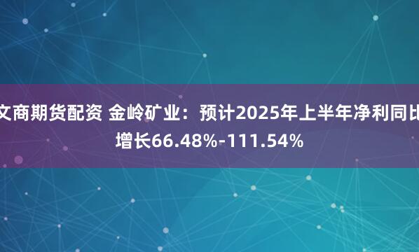 文商期货配资 金岭矿业：预计2025年上半年净利同比增长66.48%-111.54%