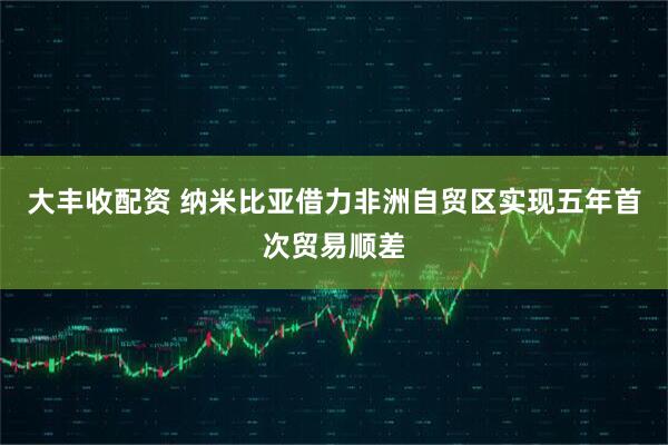 大丰收配资 纳米比亚借力非洲自贸区实现五年首次贸易顺差