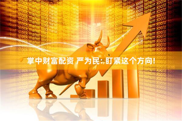 掌中财富配资 严为民: 盯紧这个方向!