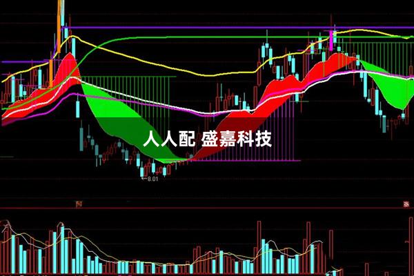 人人配 盛嘉科技